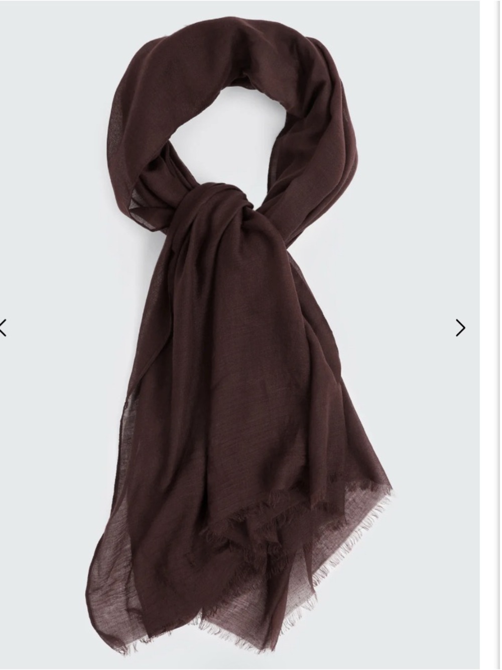 Ardene Brown Scarf